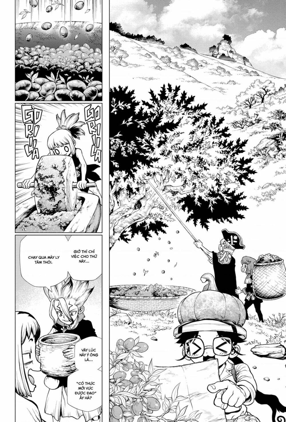 Dr.Stone – Hồi Sinh Thế Giới Chapter 202 - Trang 2