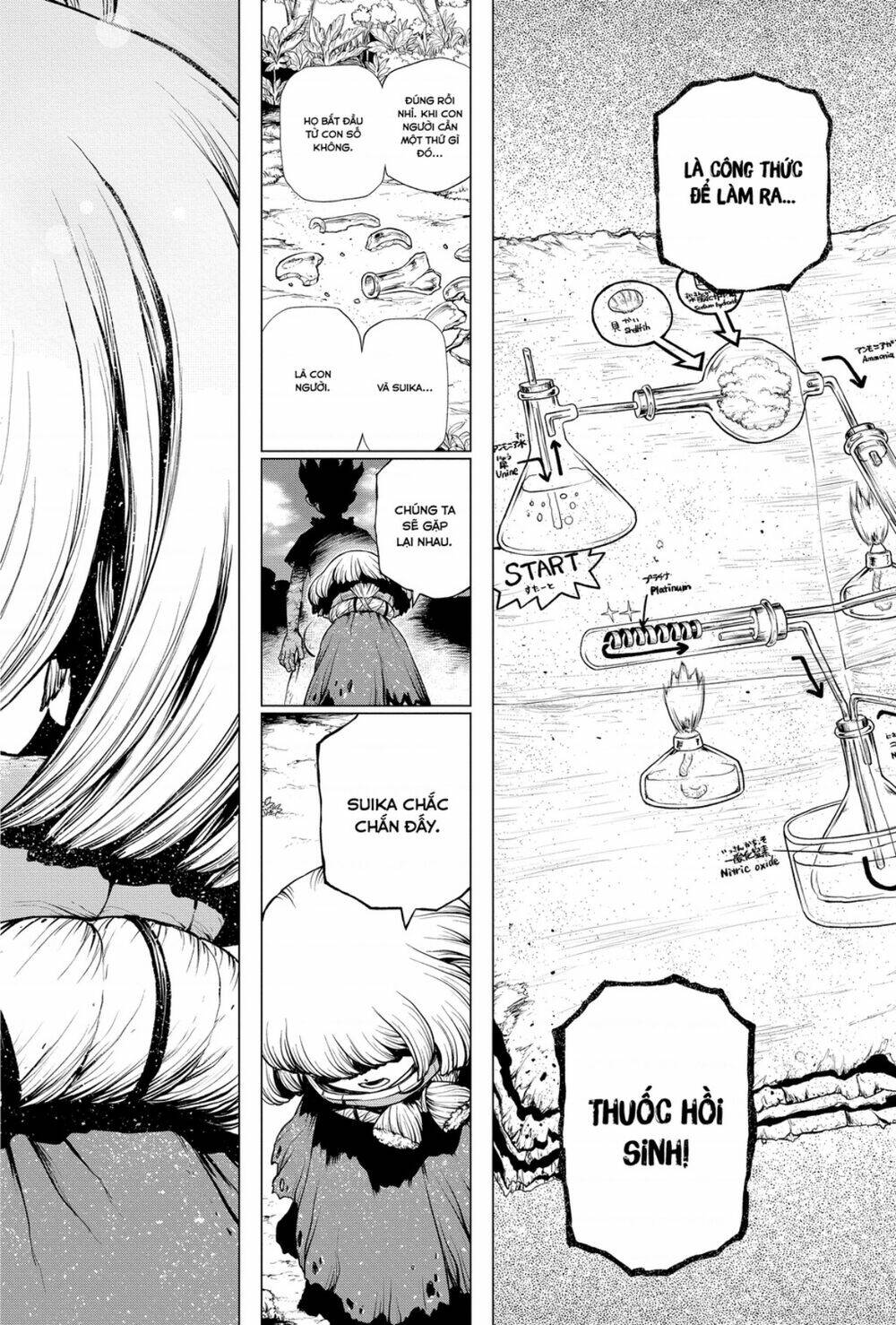 Dr.Stone – Hồi Sinh Thế Giới Chapter 195 - Trang 2