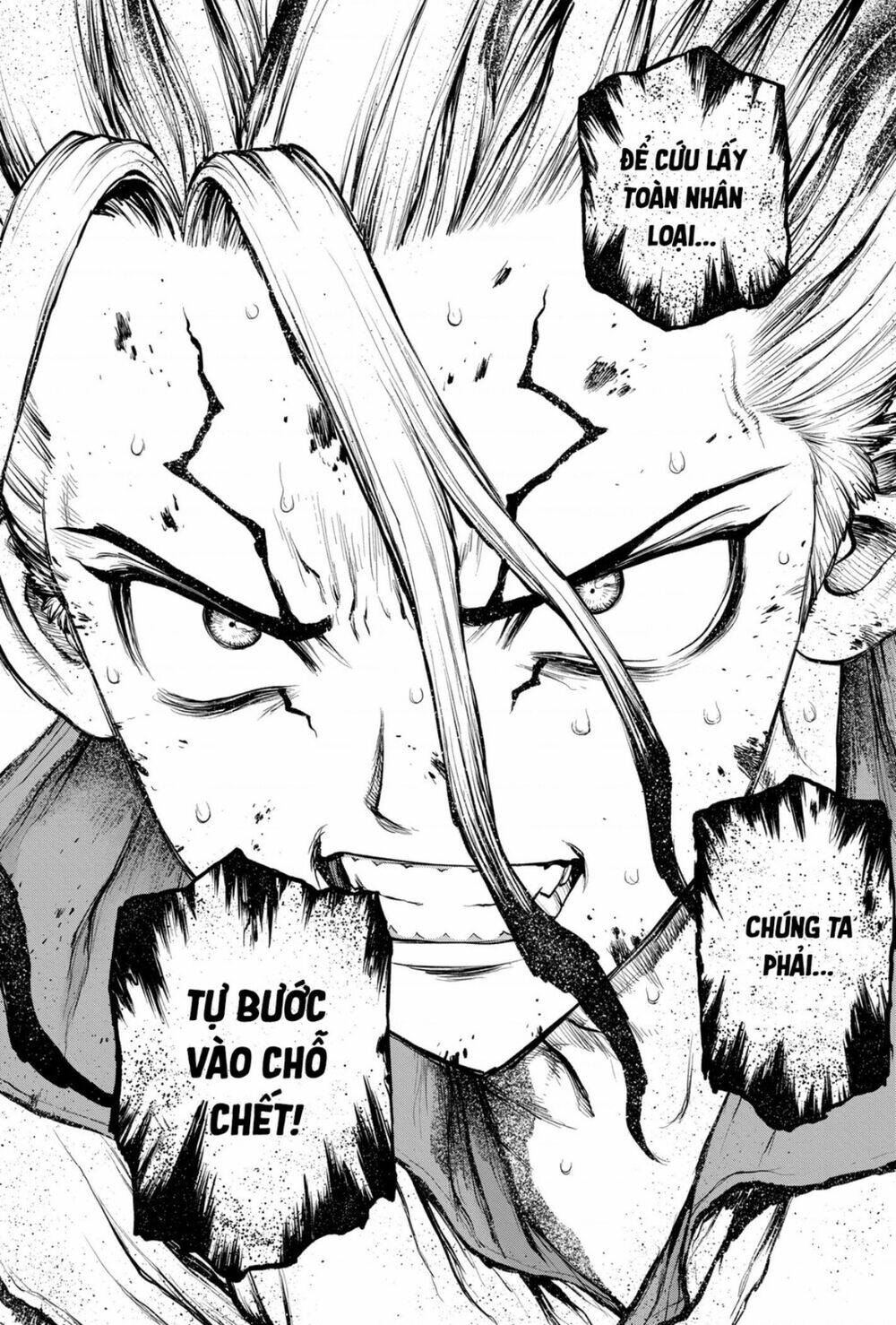 Dr.Stone – Hồi Sinh Thế Giới Chapter 191 - Trang 2