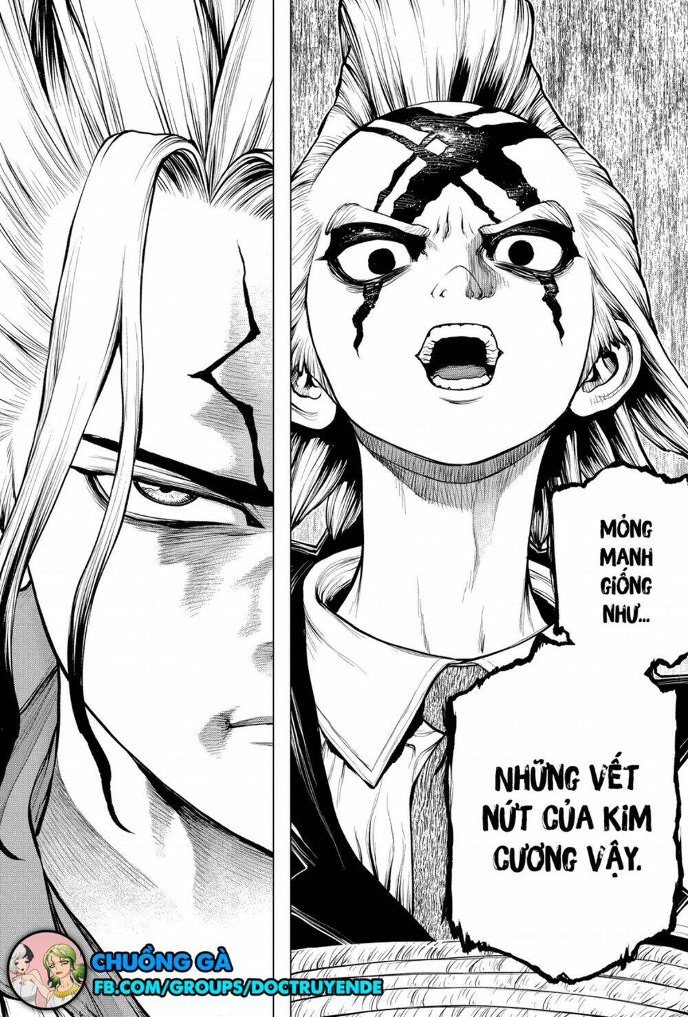 Dr.Stone – Hồi Sinh Thế Giới Chapter 185 - Trang 2