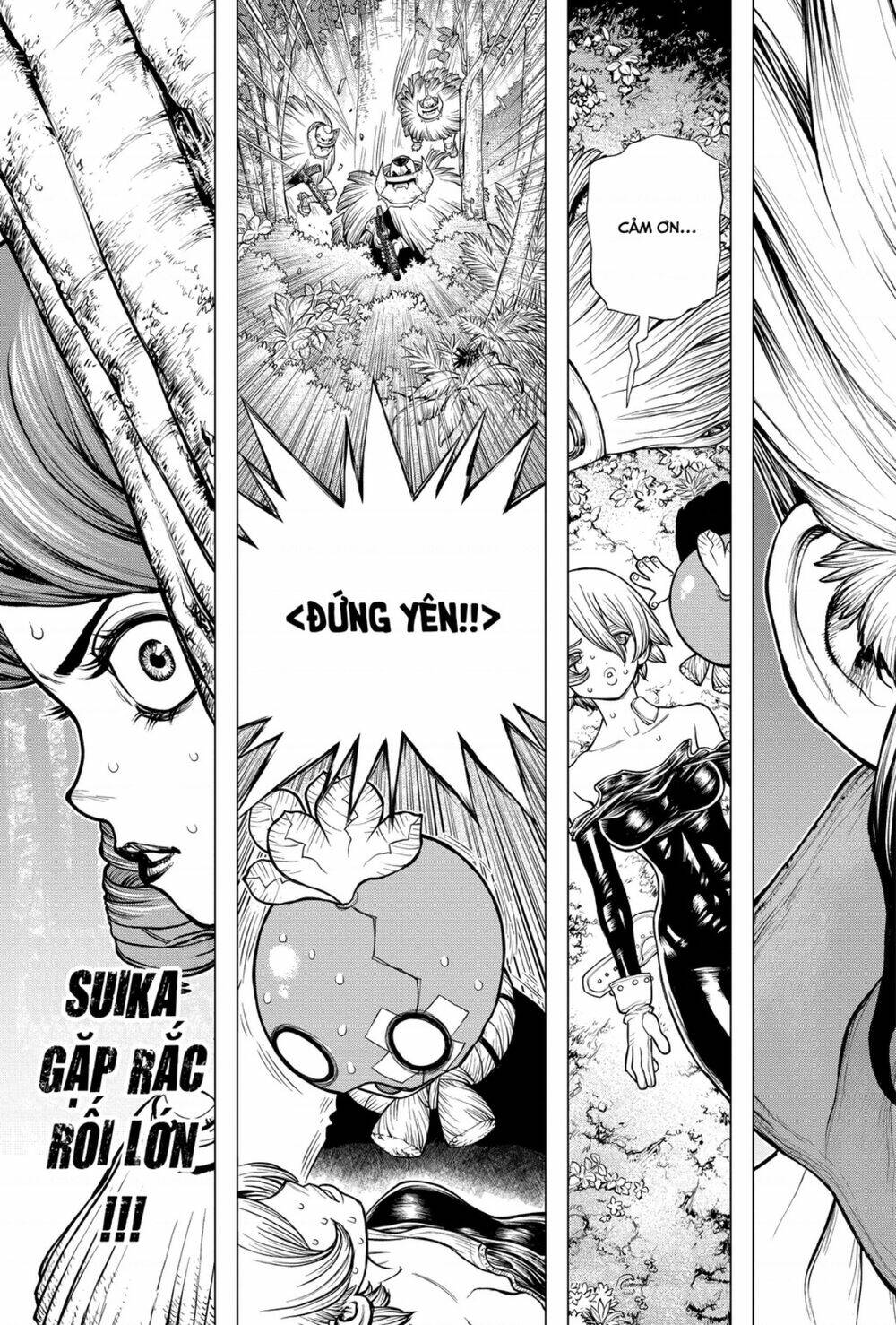 Dr.Stone – Hồi Sinh Thế Giới Chapter 185 - Trang 2