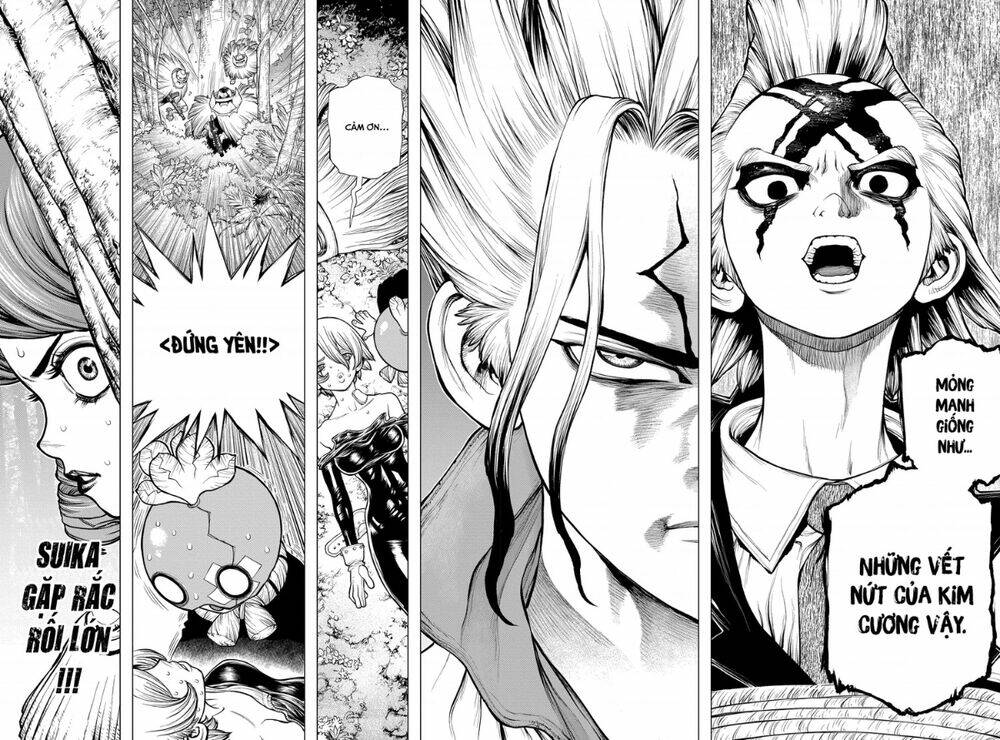 Dr.Stone – Hồi Sinh Thế Giới Chapter 185 - Trang 2