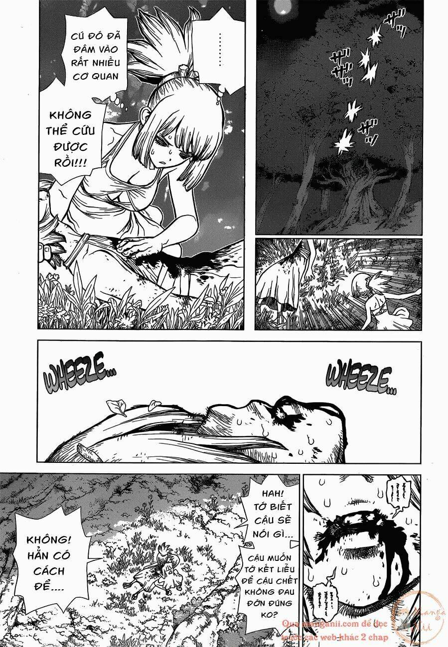 Dr.Stone – Hồi Sinh Thế Giới Chapter 121 - Trang 2