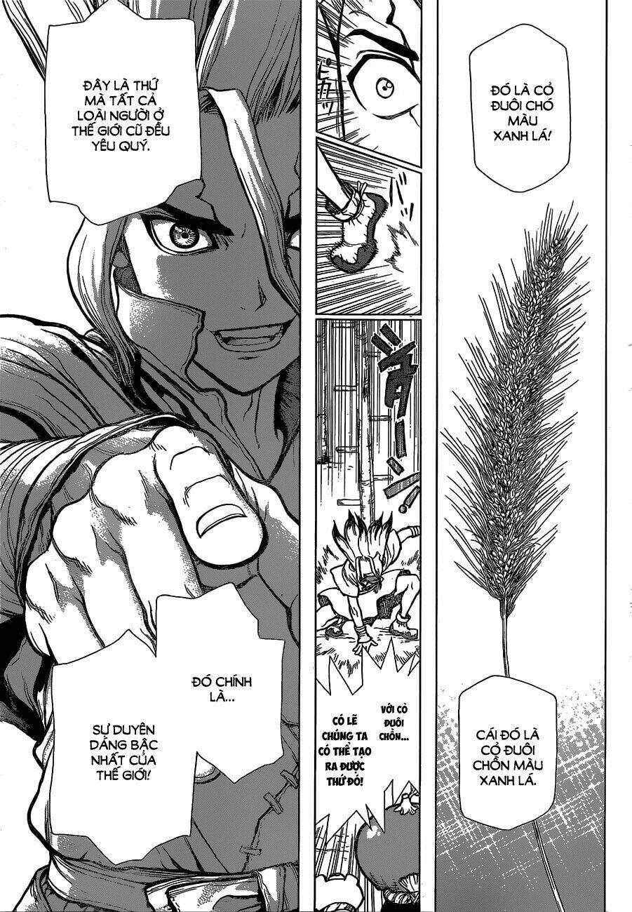 Dr.Stone – Hồi Sinh Thế Giới Chapter 22 - Trang 2