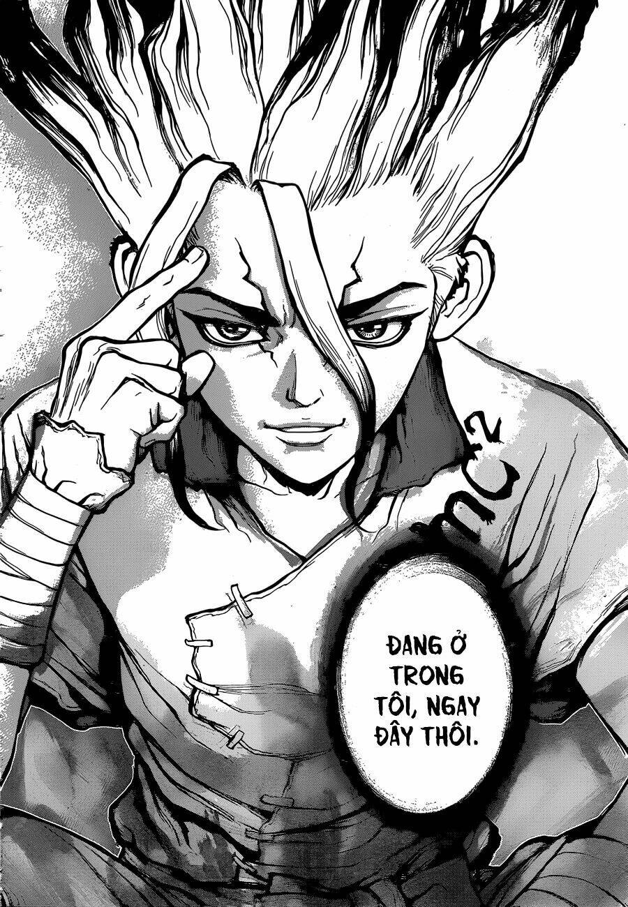 Dr.Stone – Hồi Sinh Thế Giới Chapter 19 - Trang 2