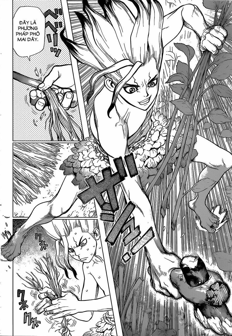 Dr.Stone – Hồi Sinh Thế Giới Chapter 13 - Trang 2