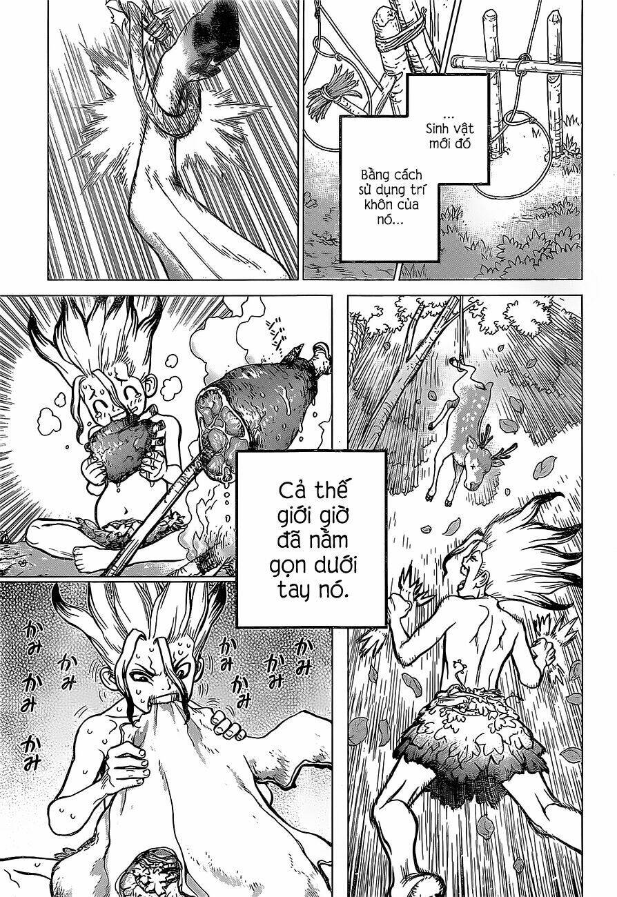 Dr.Stone – Hồi Sinh Thế Giới Chapter 13 - Trang 2