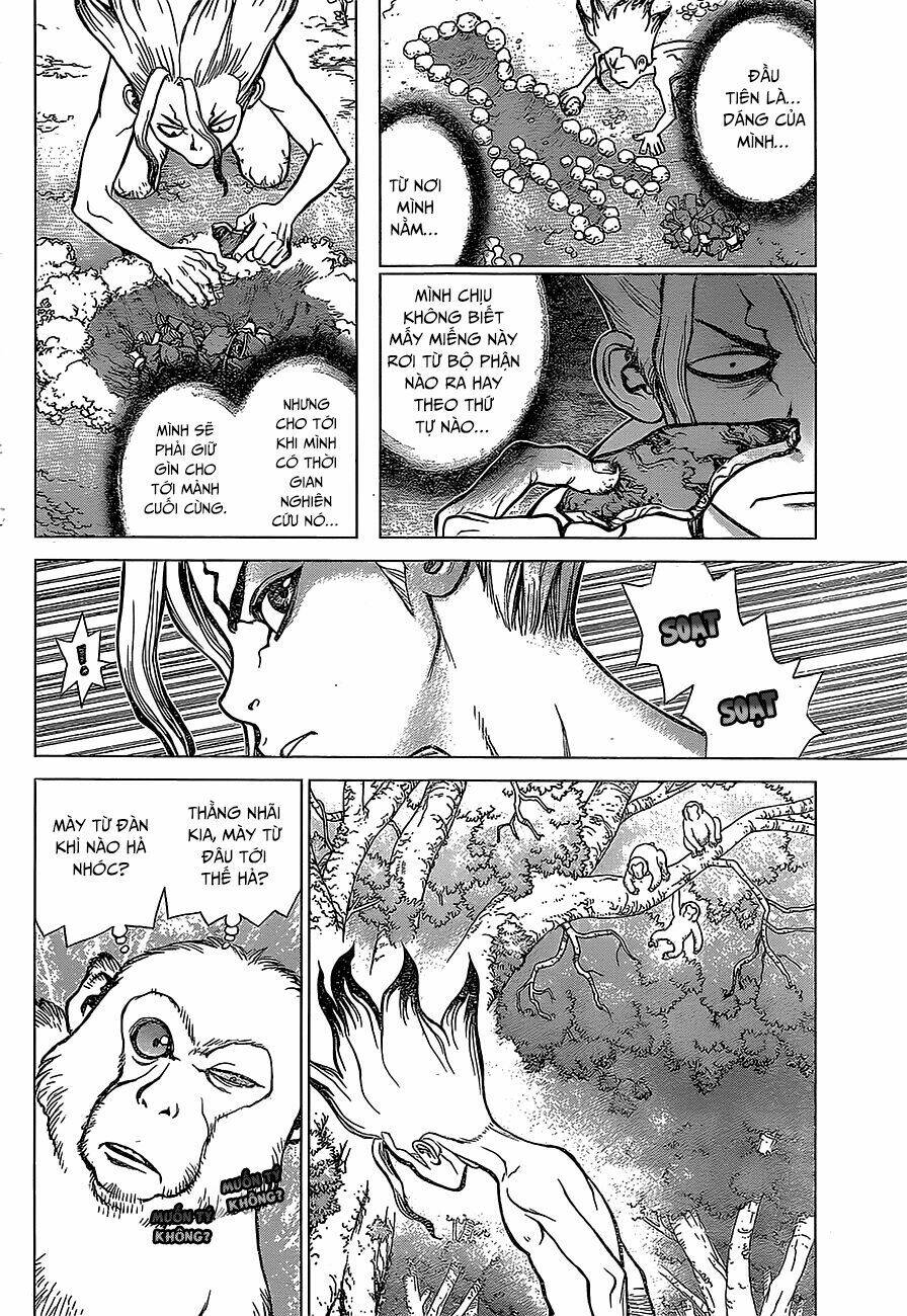 Dr.Stone – Hồi Sinh Thế Giới Chapter 13 - Trang 2