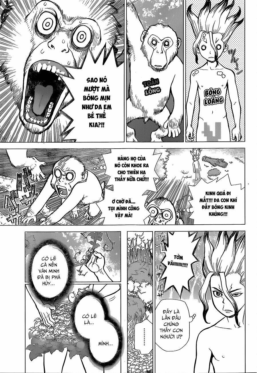 Dr.Stone – Hồi Sinh Thế Giới Chapter 13 - Trang 2