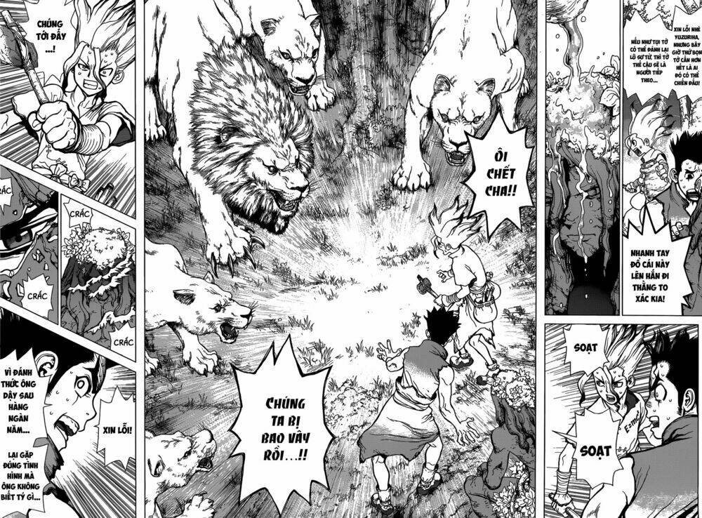 Dr.Stone – Hồi Sinh Thế Giới Chapter 3 - Trang 2