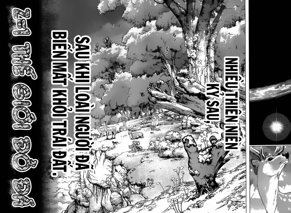 Dr.Stone – Hồi Sinh Thế Giới Chapter 1 - Trang 2