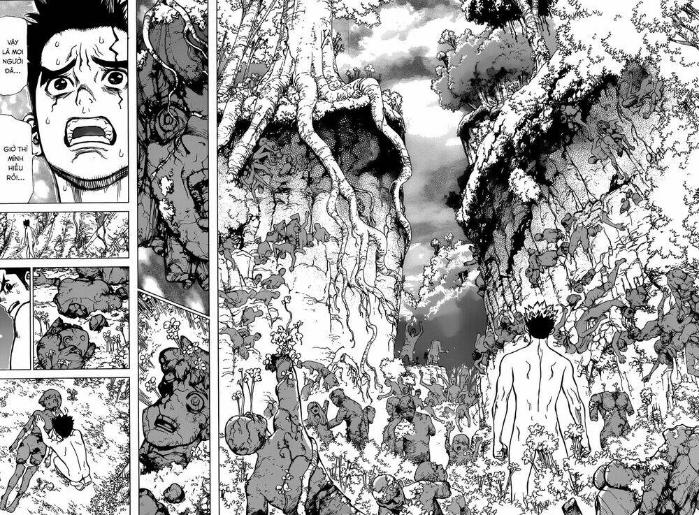 Dr.Stone – Hồi Sinh Thế Giới Chapter 1 - Trang 2