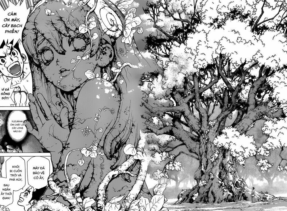 Dr.Stone – Hồi Sinh Thế Giới Chapter 1 - Trang 2