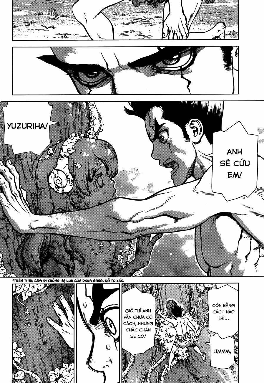 Dr.Stone – Hồi Sinh Thế Giới Chapter 1 - Trang 2