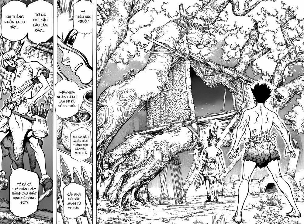 Dr.Stone – Hồi Sinh Thế Giới Chapter 1 - Trang 2