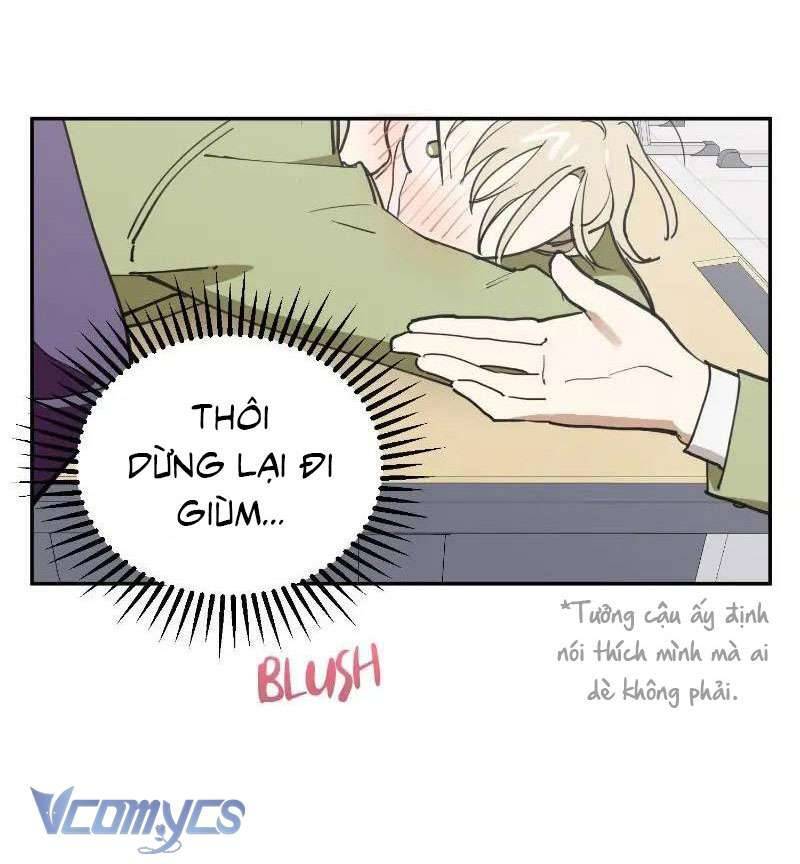 Điều Ước Sao Băng Chapter 4 - Trang 2