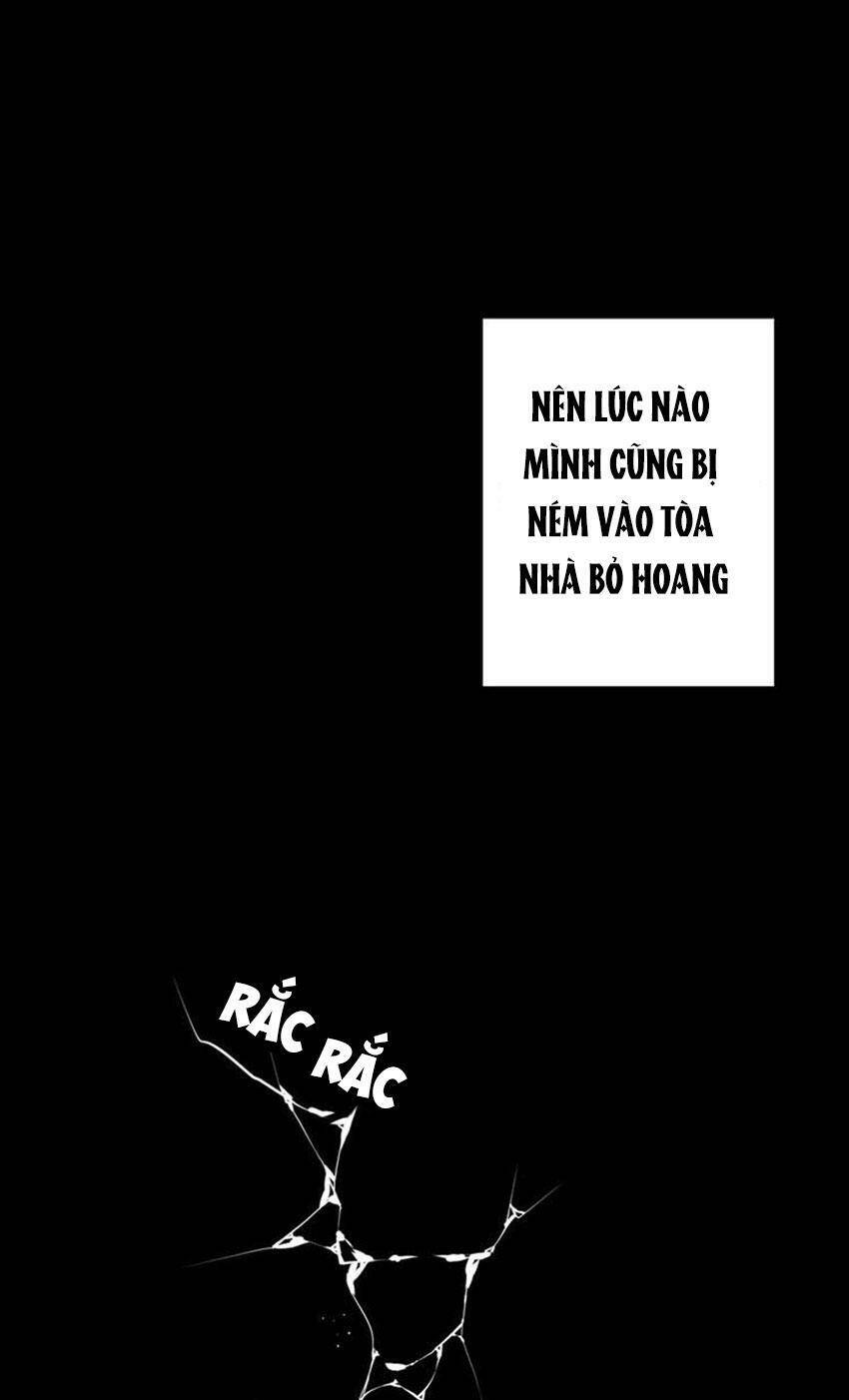 Dưới Bóng Cây Sồi Chapter 4 - Trang 2