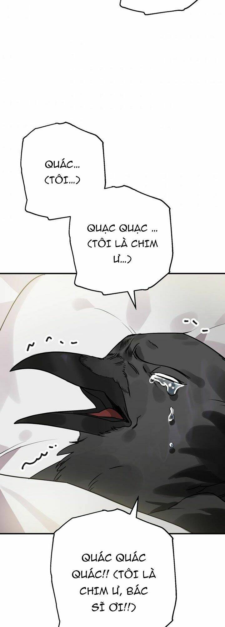 Bỗng Nhiên Tôi Trở Thành Quạ Đen!! Chapter 1 - Trang 2