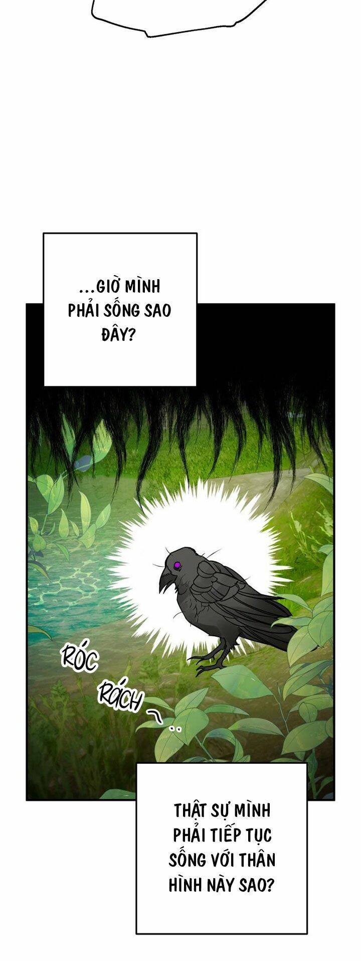 Bỗng Nhiên Tôi Trở Thành Quạ Đen!! Chapter 1 - Trang 2