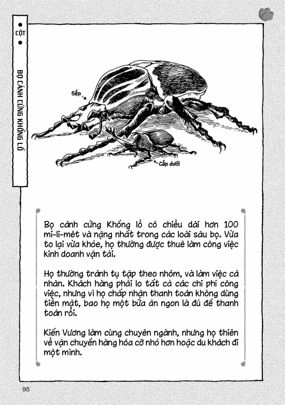 Cuộc Sống Tí Hon Trong Rừng Sâu Chapter 4 - Trang 2