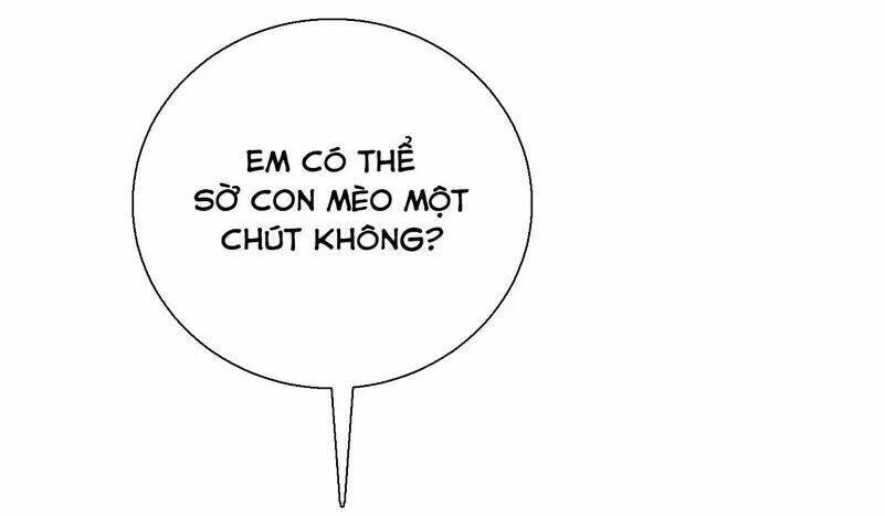 Cô Dâu Gả Thay Của Tổng Tài Chapter 62 - Trang 2