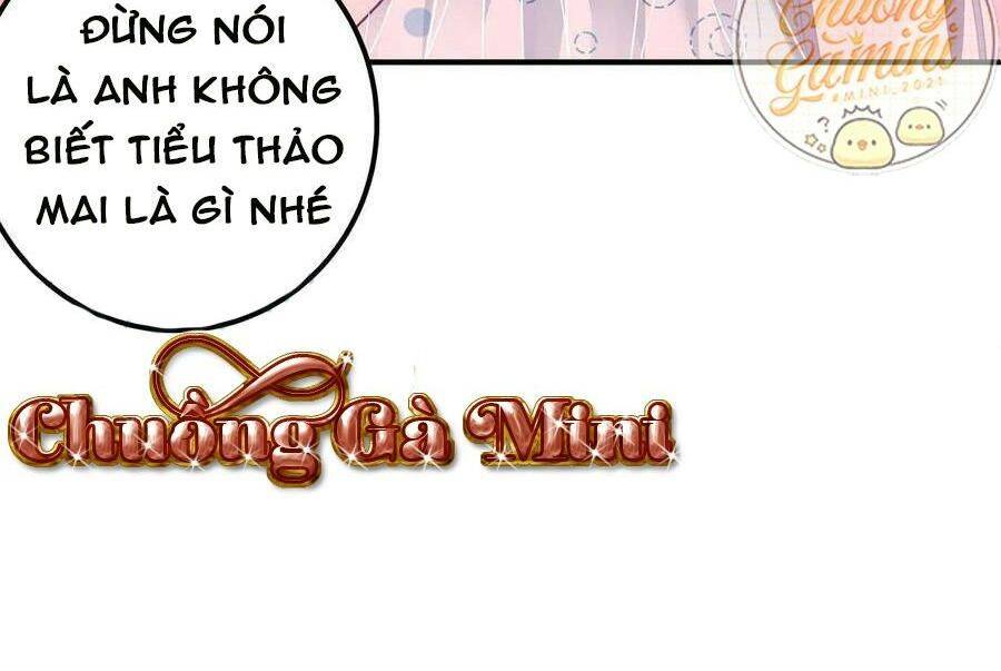 Bảo Bối Của Lão Đại Đã Xuyên Không Trở Về! Chapter 77 - Trang 2