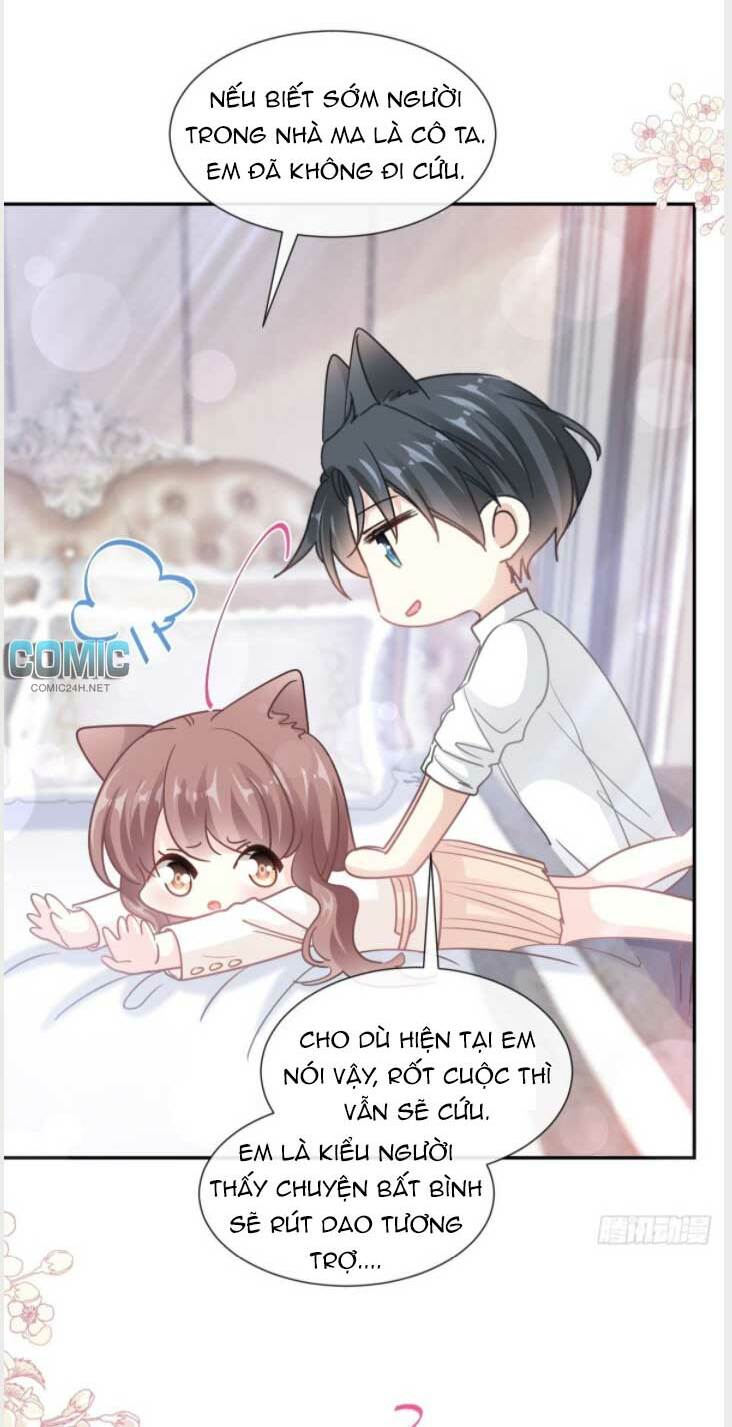 Bá Đạo Tổng Tài Nhẹ Nhàng Yêu Chapter 204 - Trang 2