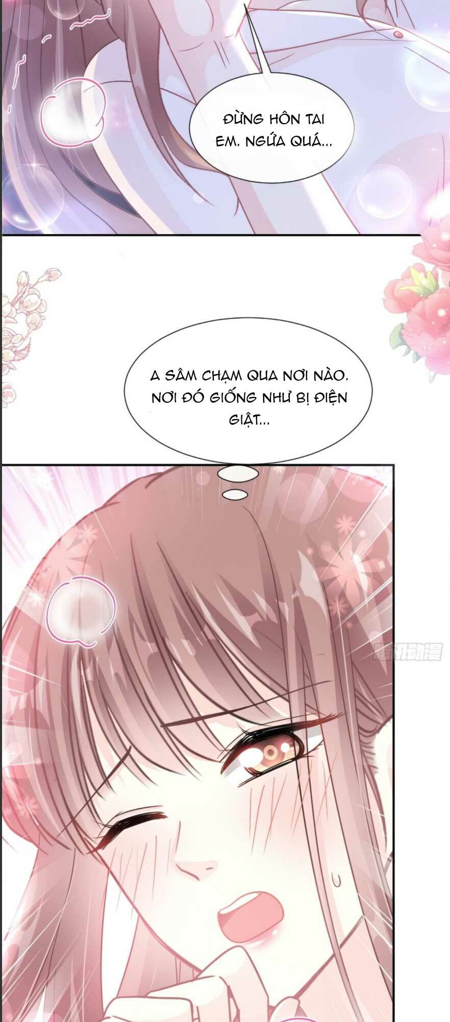 Bá Đạo Tổng Tài Nhẹ Nhàng Yêu Chapter 184 - Trang 2