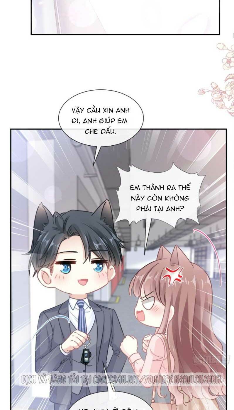 Bá Đạo Tổng Tài Nhẹ Nhàng Yêu Chapter 181 - Trang 2