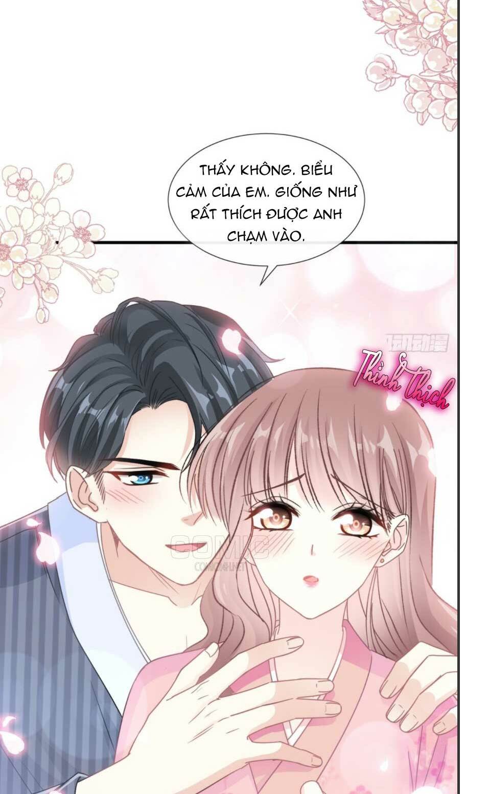 Bá Đạo Tổng Tài Nhẹ Nhàng Yêu Chapter 99.1 - Trang 2