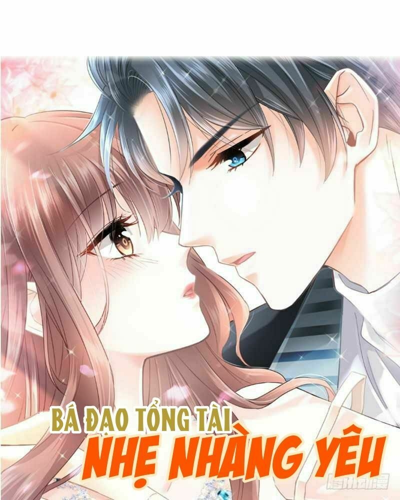 Bá Đạo Tổng Tài Nhẹ Nhàng Yêu Chapter 0 - Trang 2