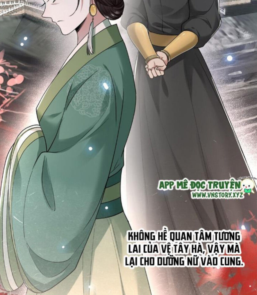 Phượng Hoàng Vu Phi Chapter 28 - Trang 2