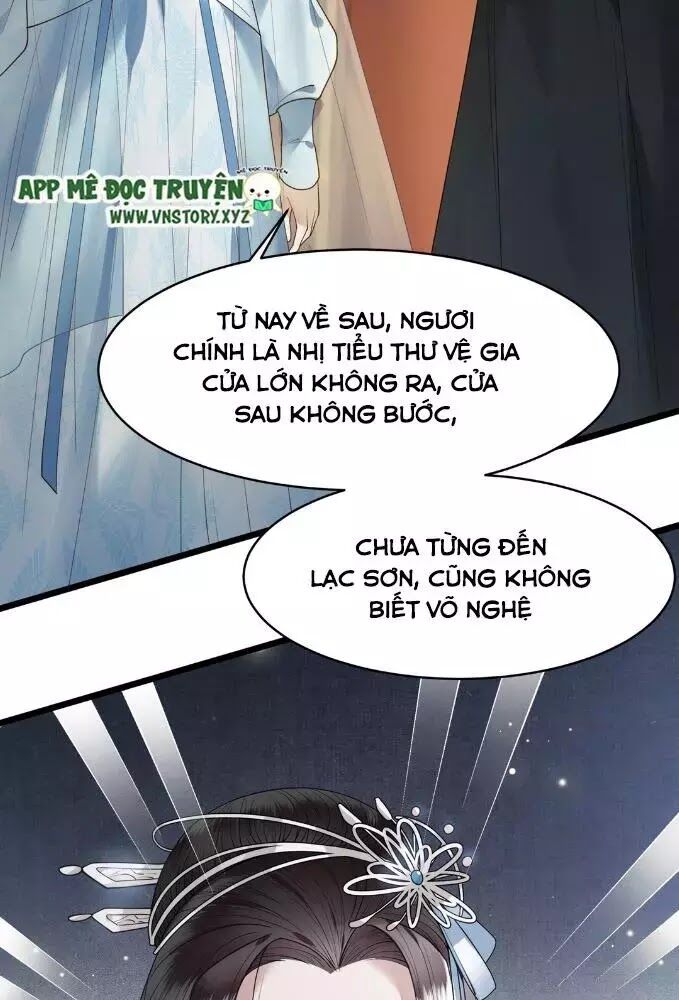 Phượng Hoàng Vu Phi Chapter 5 - Trang 2