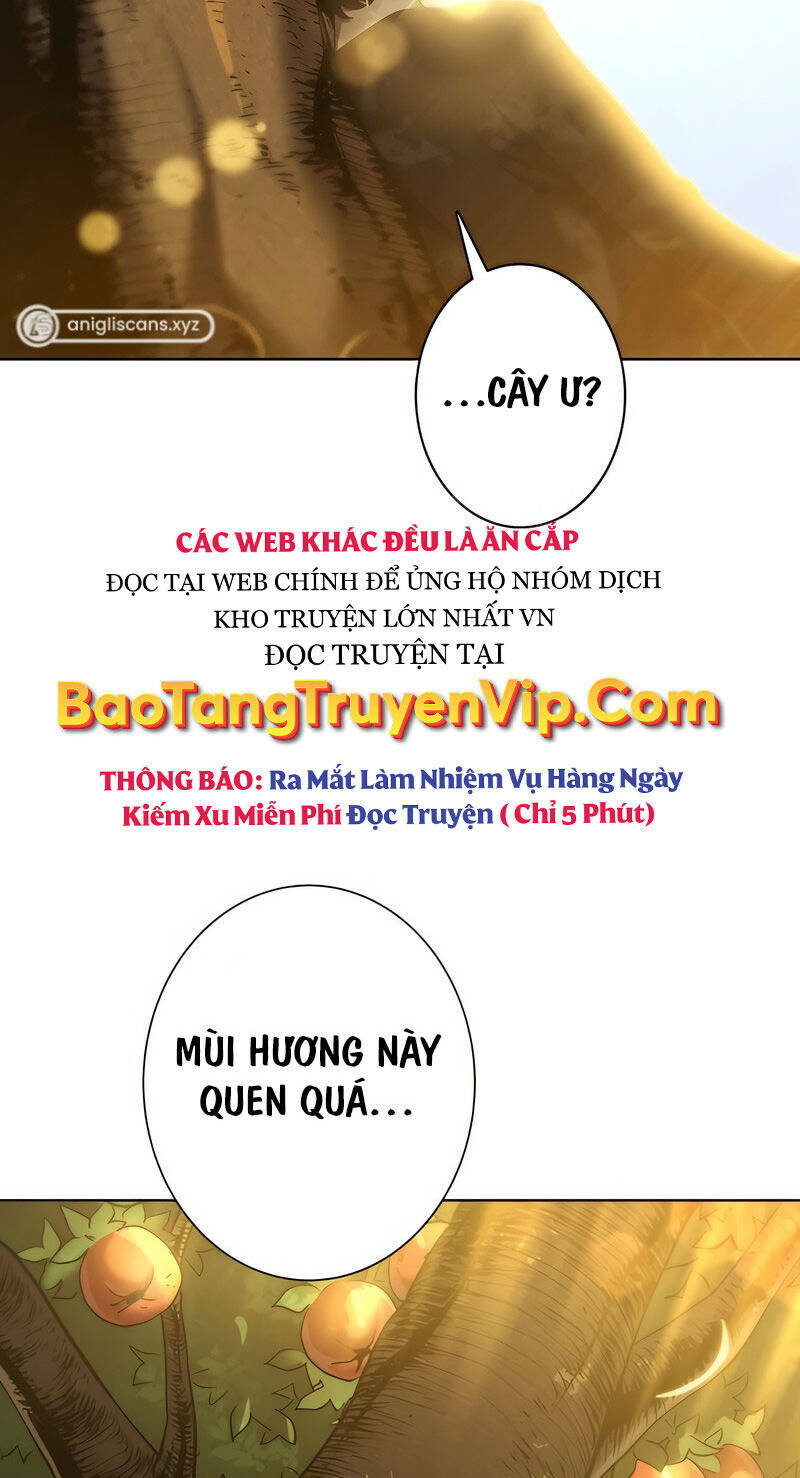 Đấng Cứu Thế Hồi Quy Chapter 2 - Trang 2