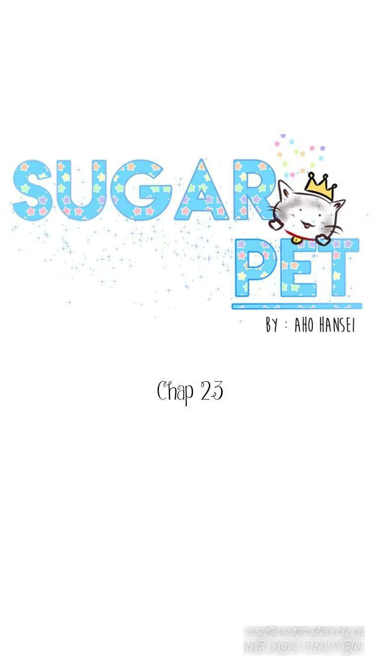 Sugar Pet Chapter 23 - Trang 2