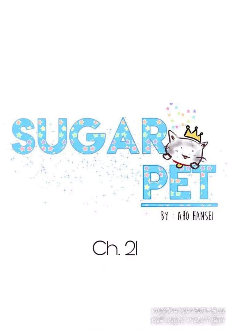 Sugar Pet Chapter 21 - Trang 2