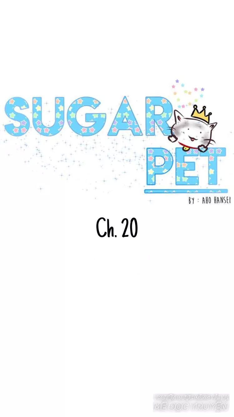 Sugar Pet Chapter 20 - Trang 2