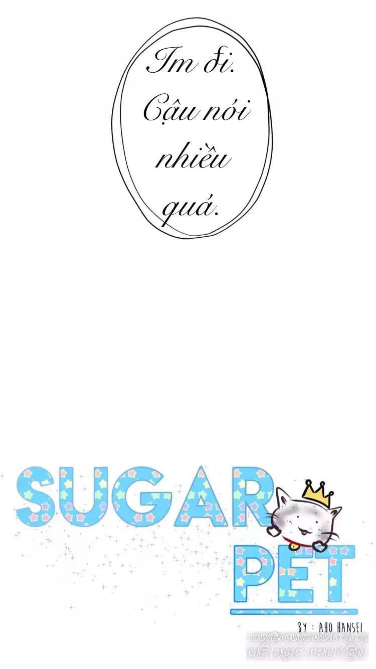 Sugar Pet Chapter 16 - Trang 2