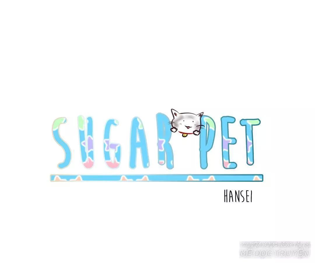 Sugar Pet Chapter 3 - Trang 2