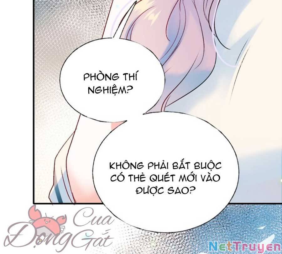 Thành Dã Tiêu Hà Chapter 41 - Trang 2