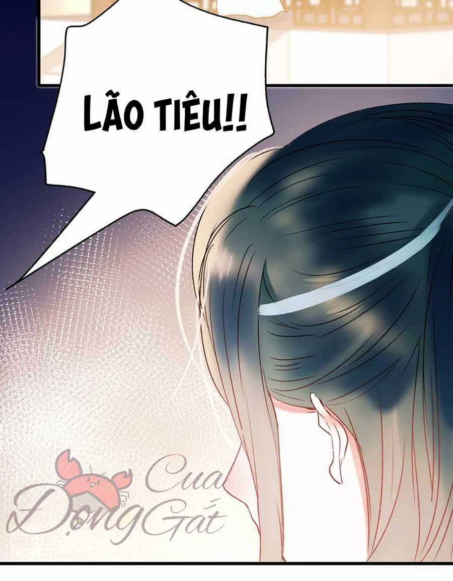 Thành Dã Tiêu Hà Chapter 31 - Trang 2