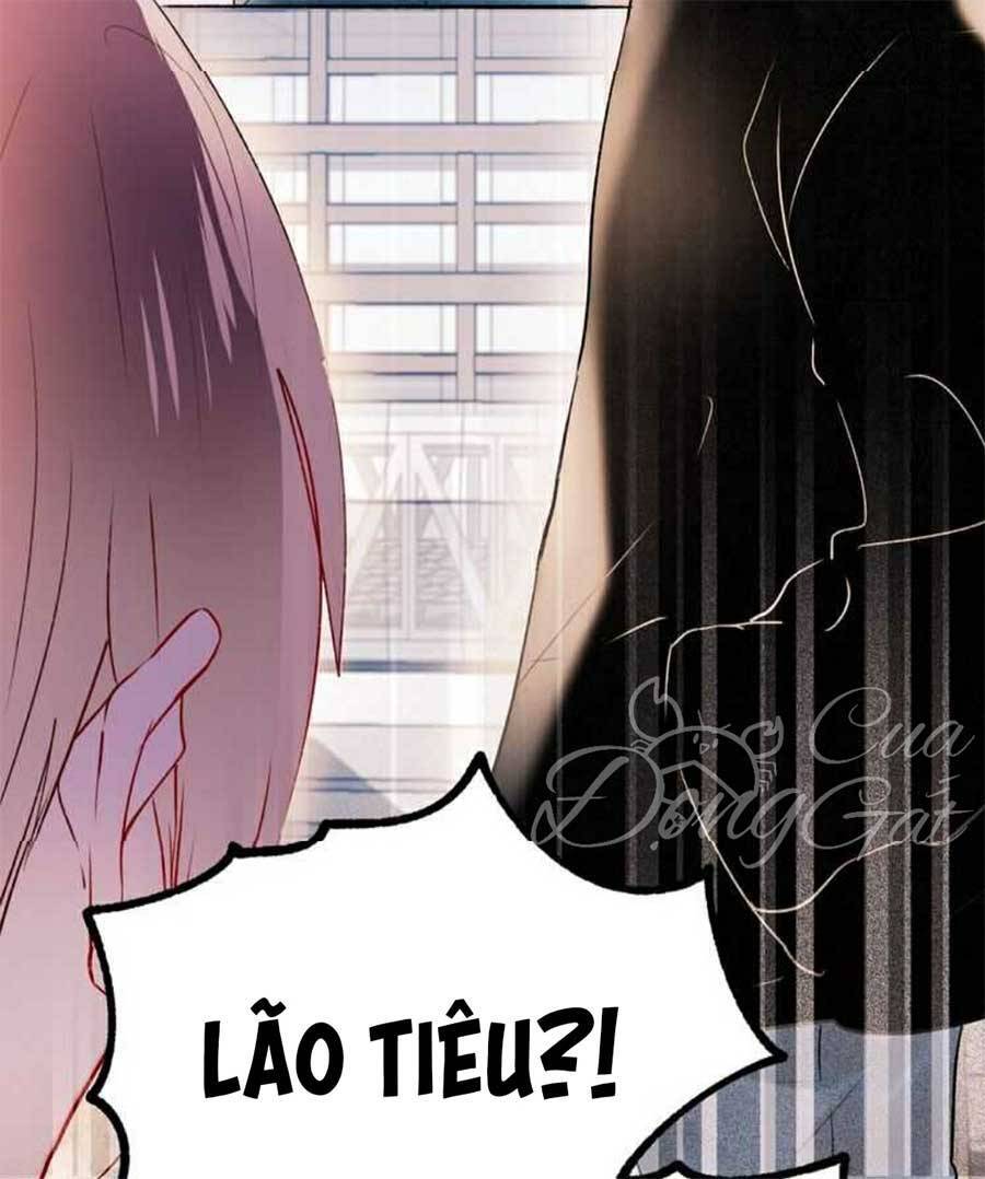 Thành Dã Tiêu Hà Chapter 26 - Trang 2