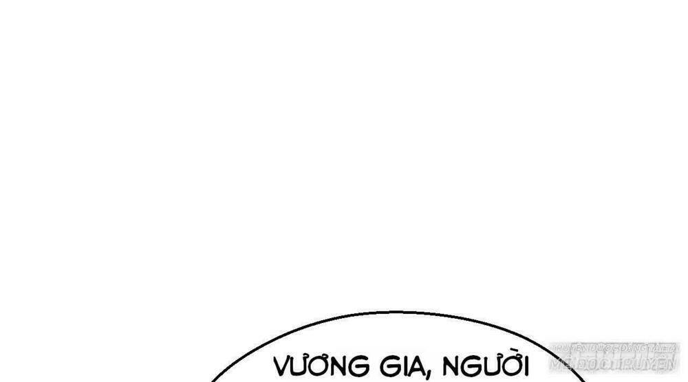 Vương Gia Ba Tuổi Rưỡi Của Tôi Chapter 21 - Trang 2