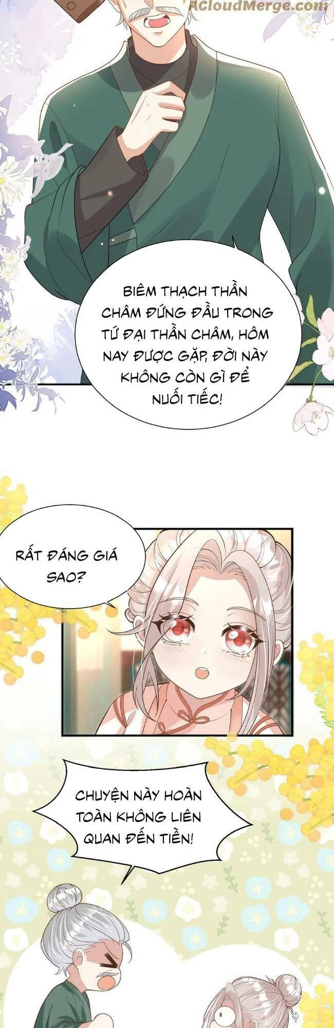 Tiểu Manh Bảo Bốn Tuổi Theo Sư Phụ Xuống Núi Chapter 141 - Trang 2