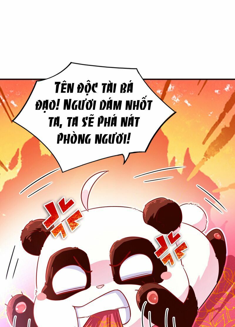 Thiên Thần Gấu Trúc Muốn Được Ôm Chapter 58 - Trang 2