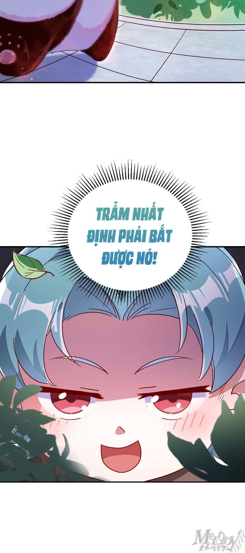 Thiên Thần Gấu Trúc Muốn Được Ôm Chapter 45 - Trang 2