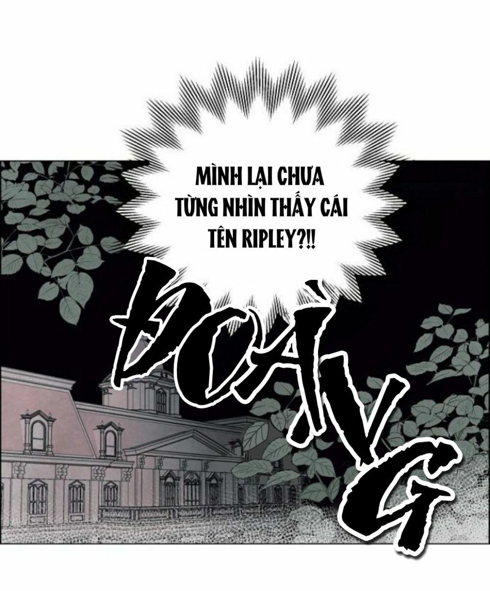 Tôi Đã Cướp Mất Đêm Đầu Tiên Của Nam Chính Chapter 1 - Trang 2