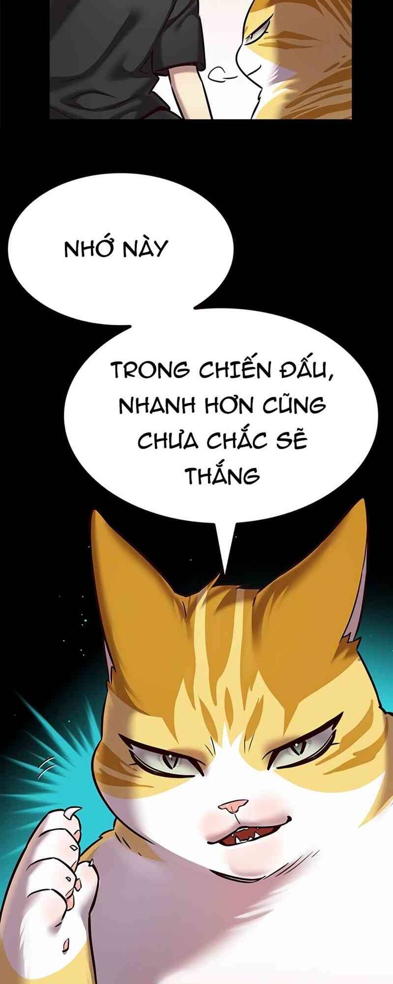 Hoá Thân Thành Mèo – Eleceed Chapter 244 - Trang 2