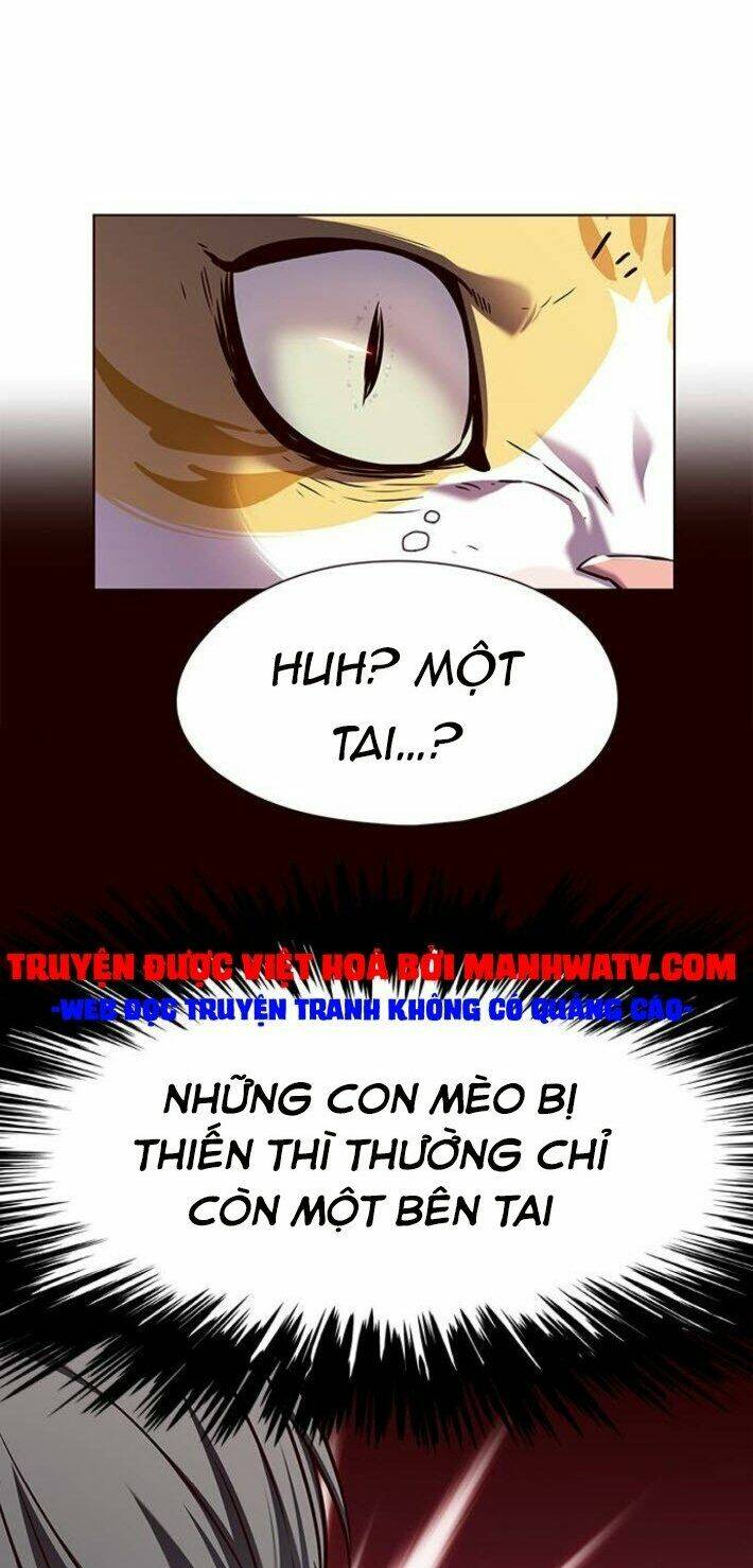 Hoá Thân Thành Mèo – Eleceed Chapter 141 - Trang 2