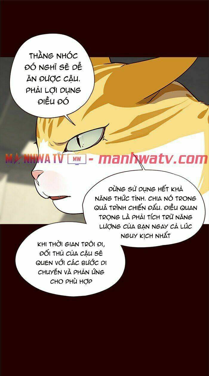 Hoá Thân Thành Mèo – Eleceed Chapter 27 - Trang 2